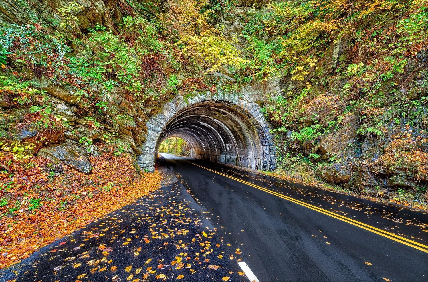 Time To Cuddle, Wifi, Near Pigeon Forge, 1089 Free Tickets Each Paid Day, Dollywood And More 외부 사진