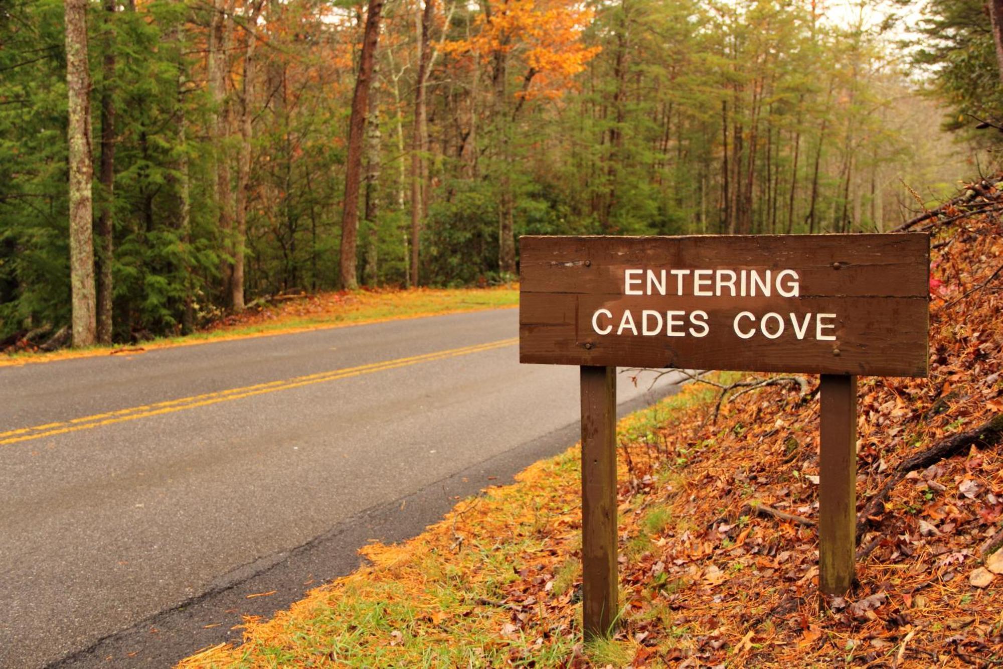 Time To Cuddle, Wifi, Near Pigeon Forge, 1089 Free Tickets Each Paid Day, Dollywood And More 외부 사진